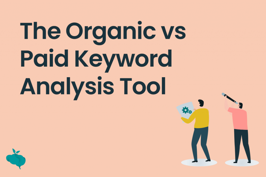 organic vs paid keyword analysis tool