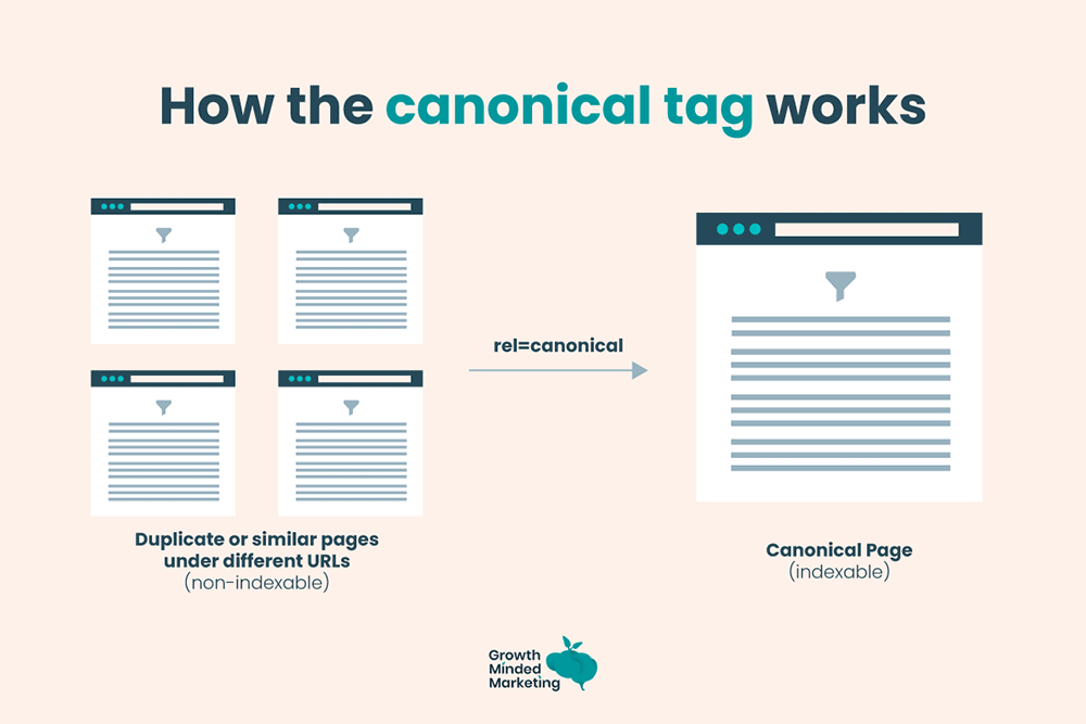 how canonical tag works