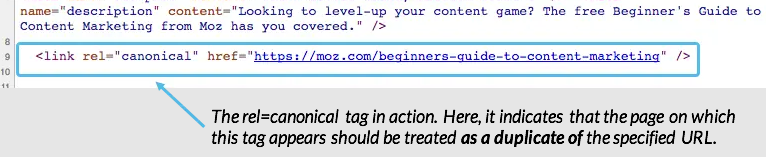 canonical tag example