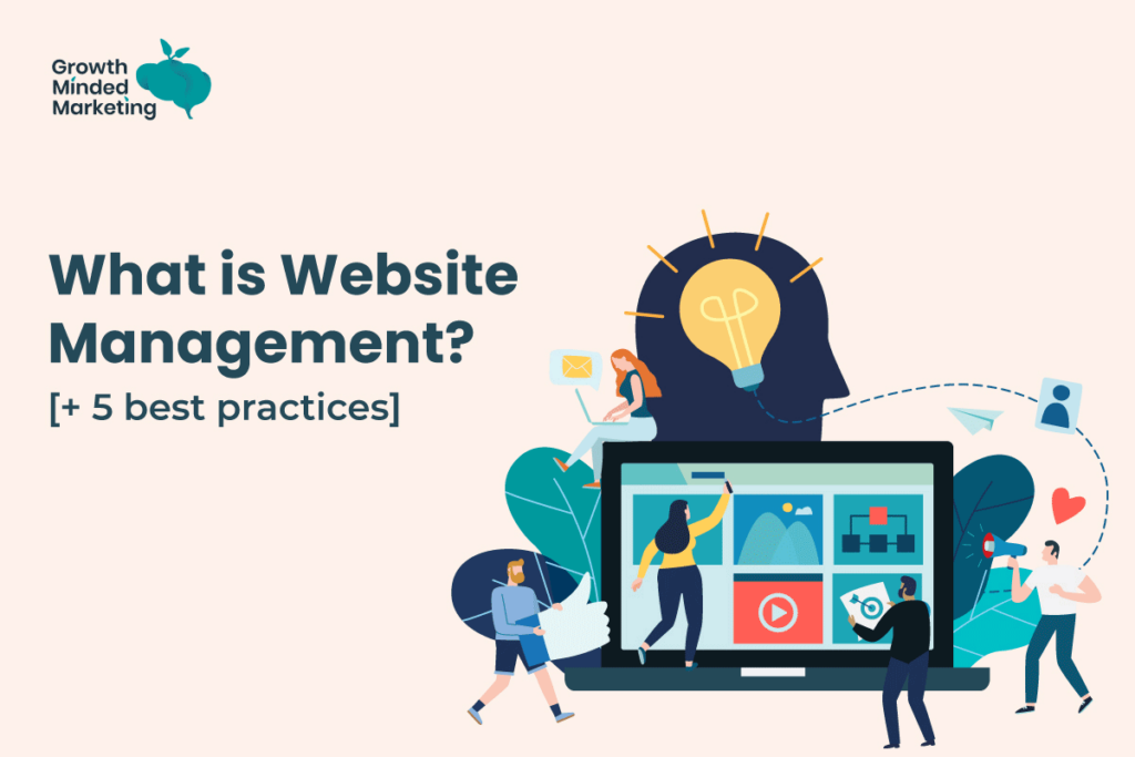 what is website management?